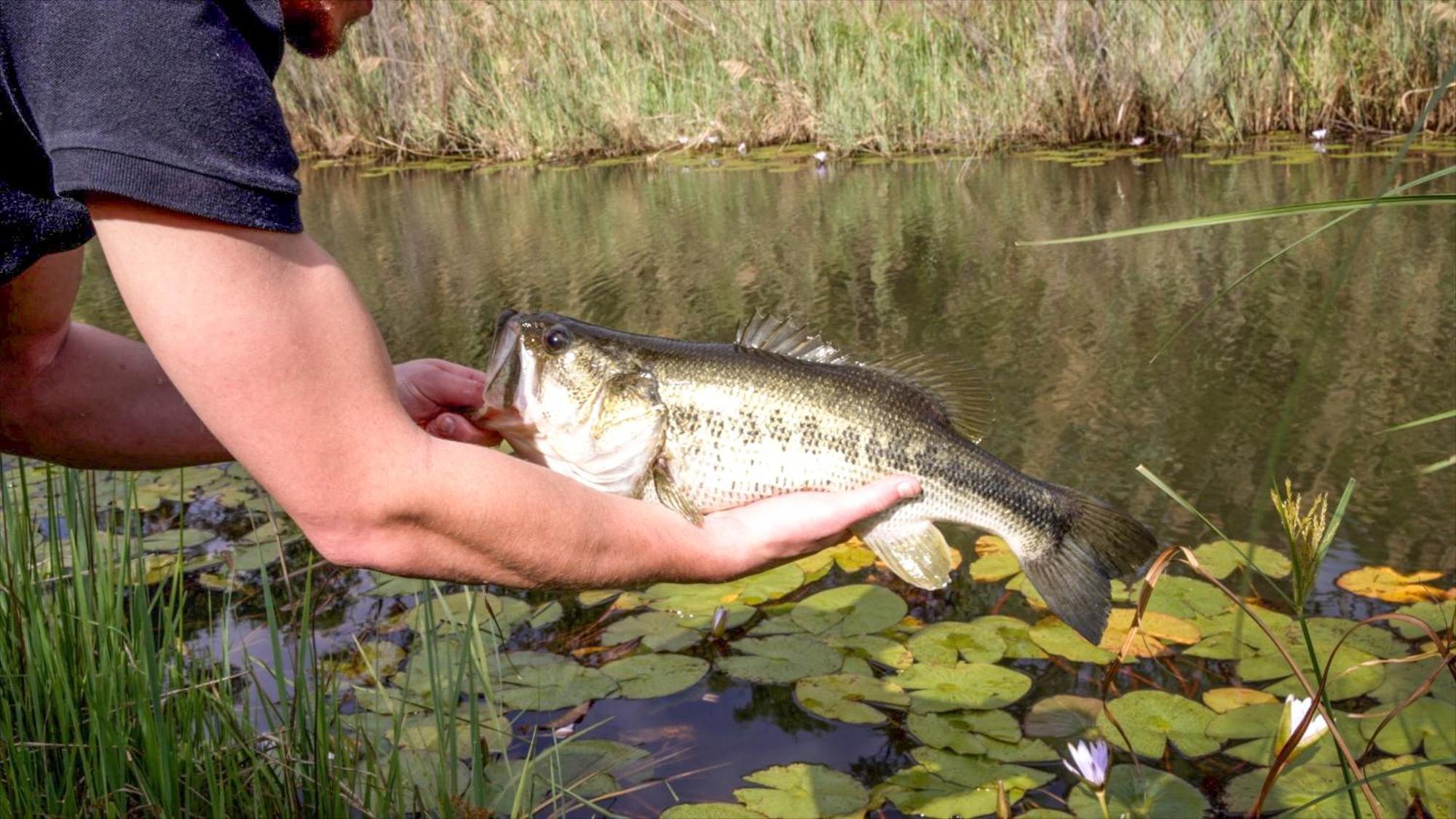 Lindani Game And Lodges Vaalwater Zewnętrze zdjęcie